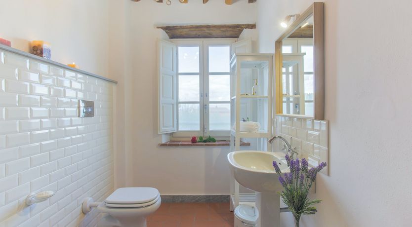 Photo of The Frantoio Olive