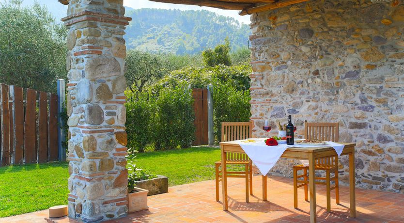 Photo of The Frantoio Olive