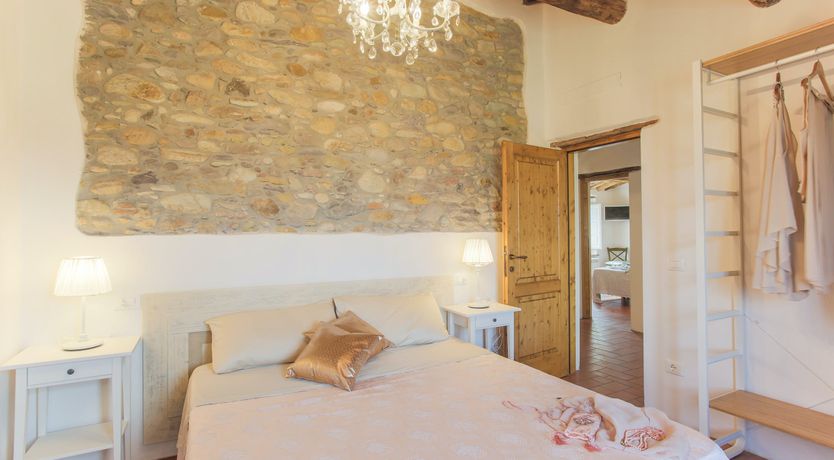 Photo of The Frantoio Olive