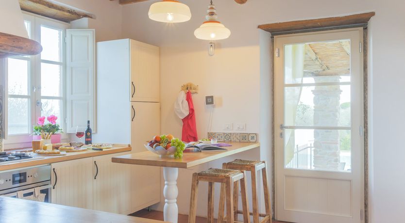 Photo of The Frantoio Olive