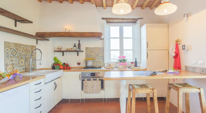 Photo of The Frantoio Olive