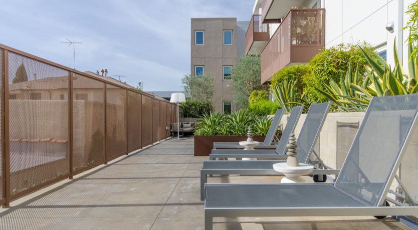 Photo of Cotton Candy