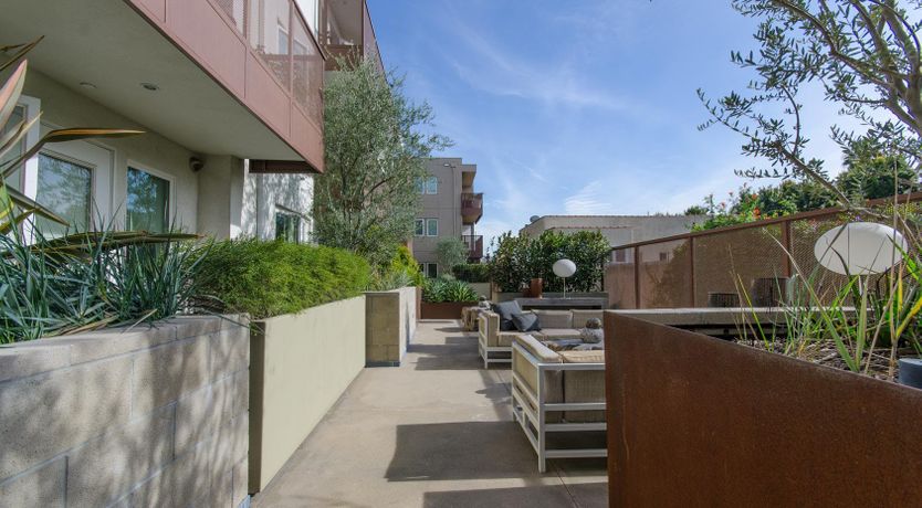 Photo of Cotton Candy