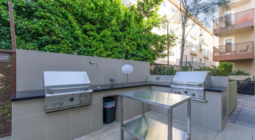 Photo of Cotton Candy