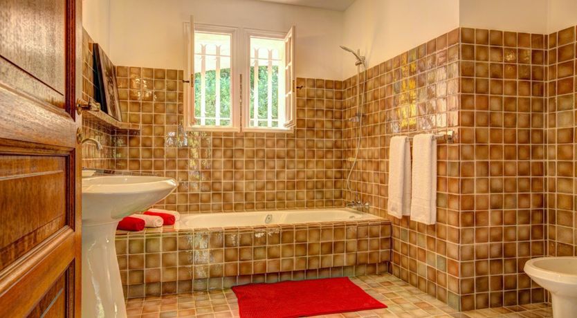 Photo of Pine & Stone