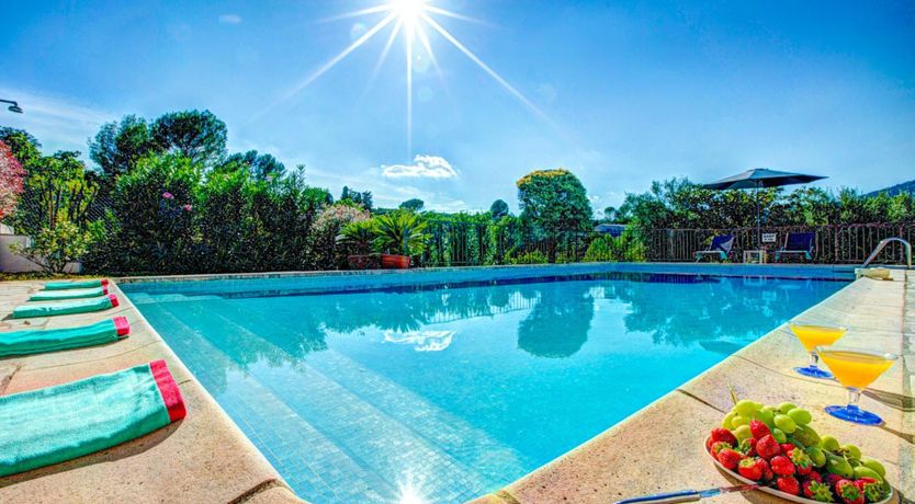 Photo of Pine & Stone