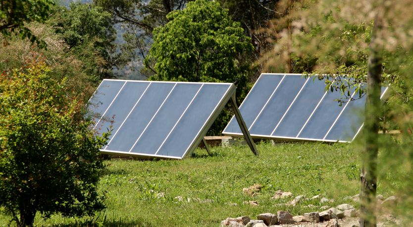 Photo of The Almond Blossom