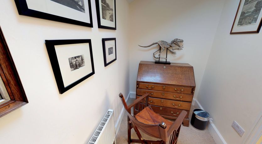 Photo of Beneath the Beech Tree