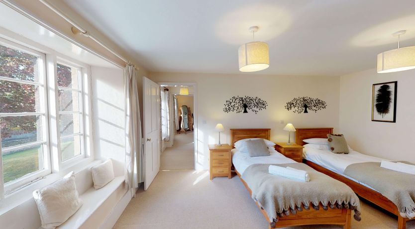 Photo of Beneath the Beech Tree