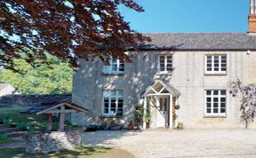 Photo of Beneath the Beech Tree