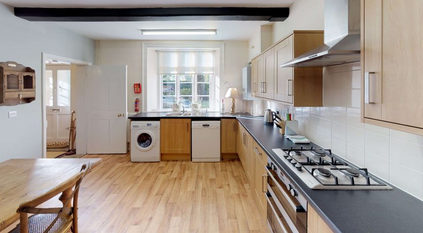 Photo of Beneath the Beech Tree