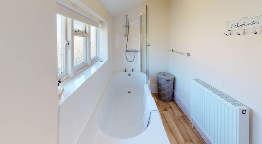 Photo of Beneath the Beech Tree