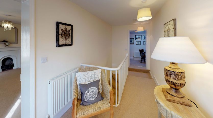 Photo of Beneath the Beech Tree