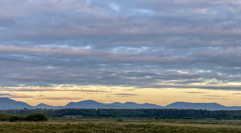 Photo of Migratory Patterns