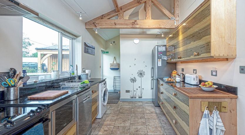 Photo of Migratory Patterns