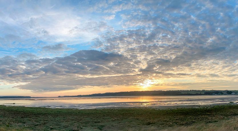 Photo of Migratory Patterns