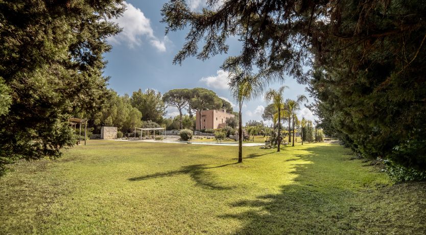 Photo of Elio's Dream