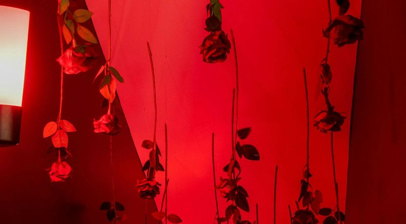 Photo of Nashville Nest