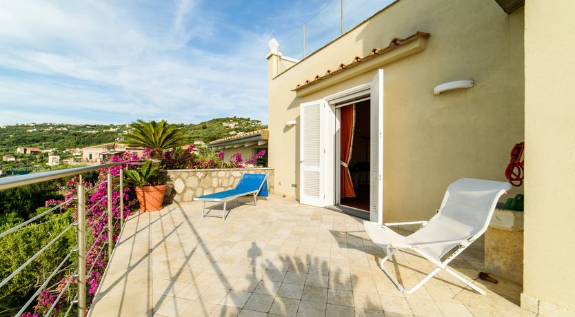 Photo of Pine Green Paradise