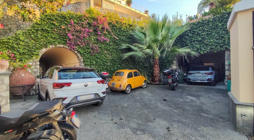 Photo of Pine Green Paradise