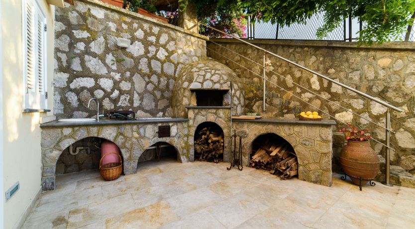 Photo of Pine Green Paradise