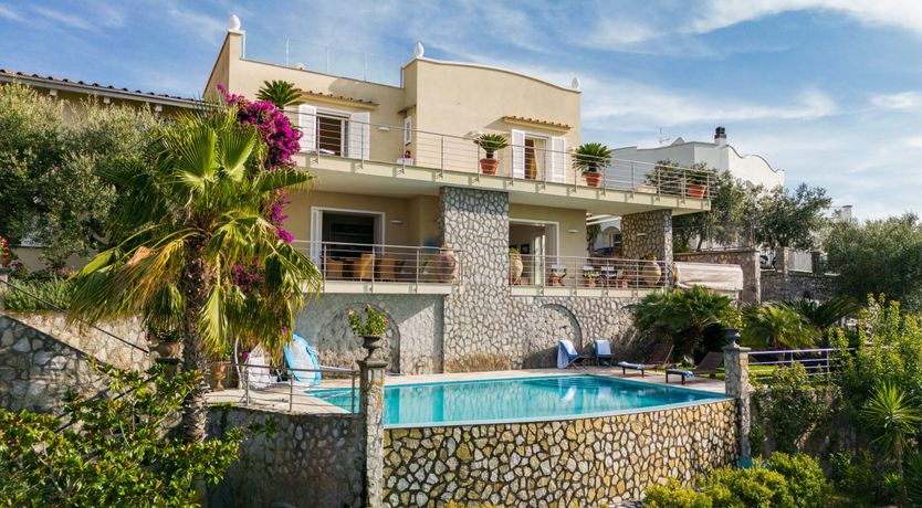 Photo of Pine Green Paradise