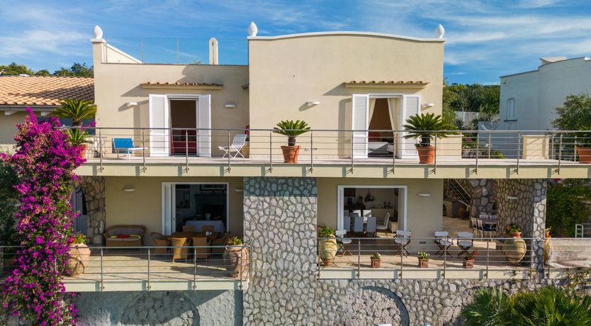 Photo of Pine Green Paradise