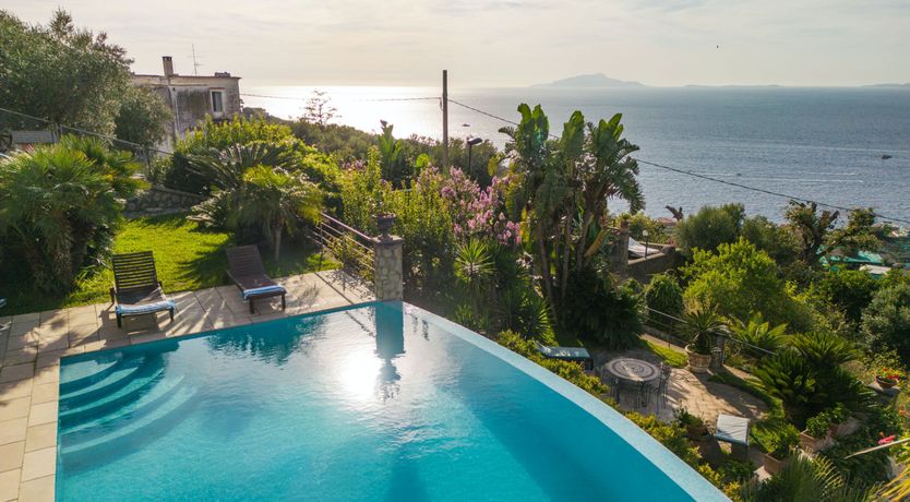 Photo of Pine Green Paradise