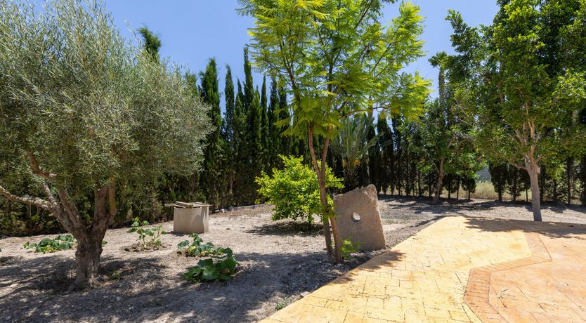 Photo of The Lagoon Song