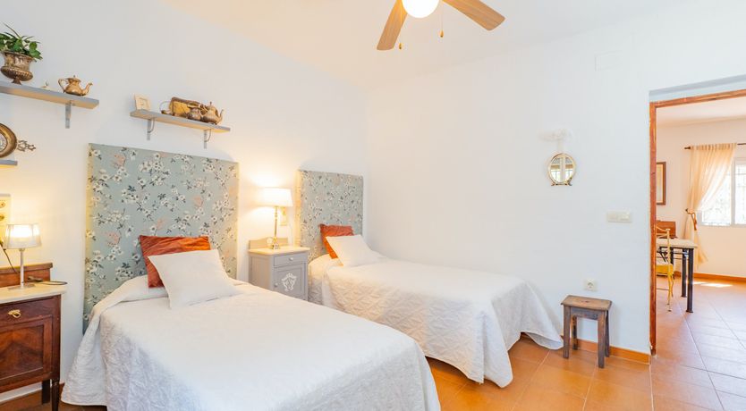 Photo of Olive Echoes