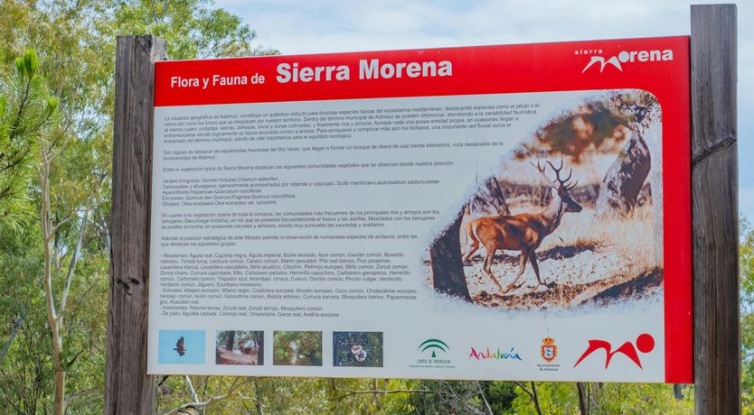 Photo of Olive Echoes