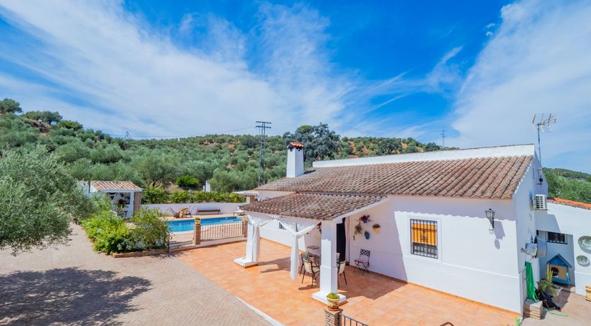 Photo of Olive Echoes