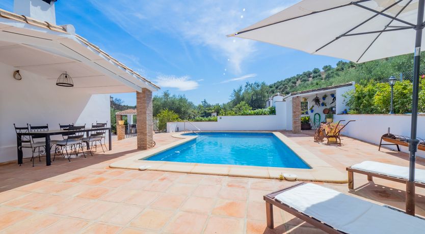 Photo of Olive Echoes