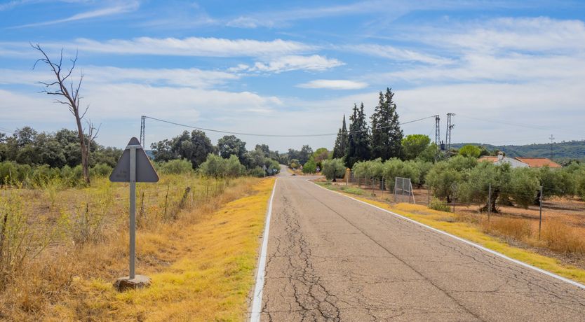 Photo of Olive Echoes