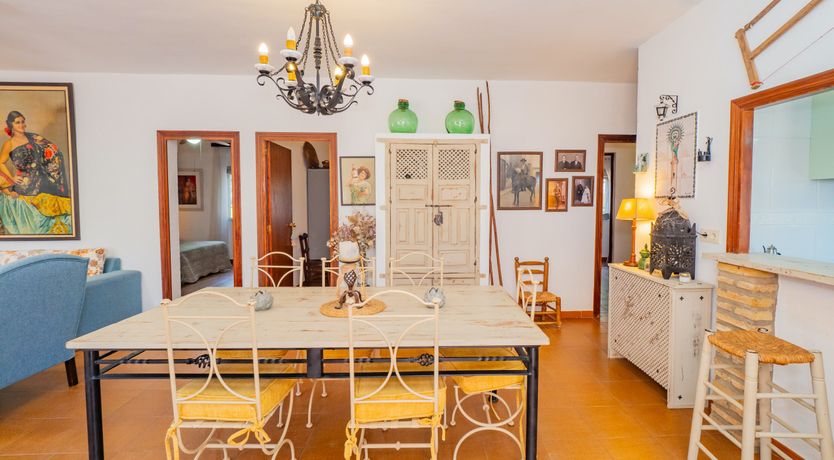 Photo of Olive Echoes