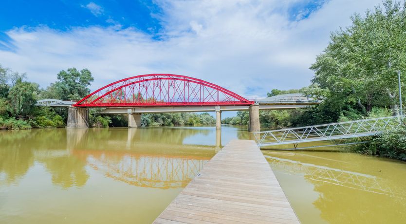 Photo of Olive Echoes