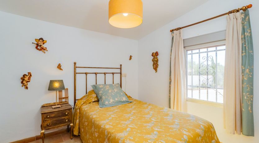 Photo of Olive Echoes