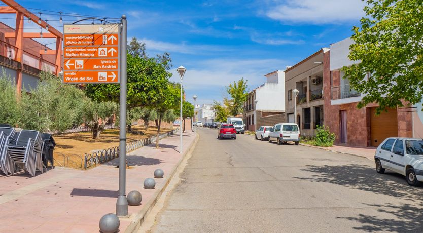 Photo of Olive Echoes