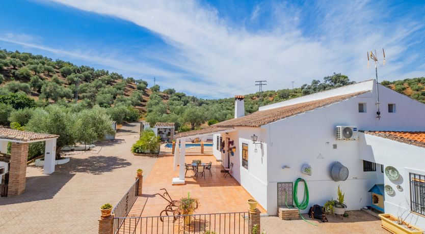 Photo of Olive Echoes