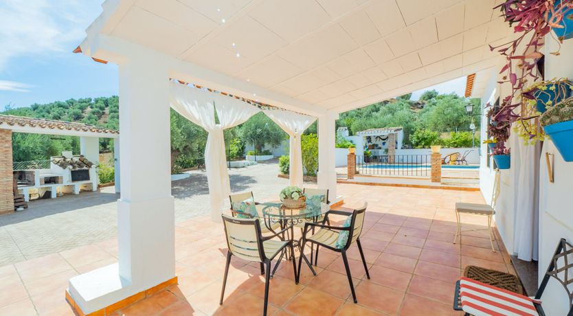 Photo of Olive Echoes