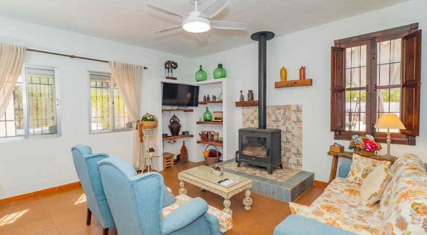 Photo of Olive Echoes