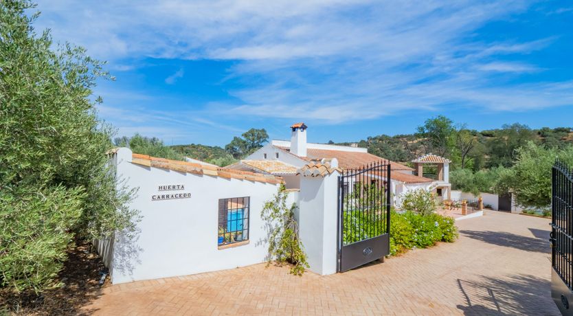 Photo of Olive Echoes