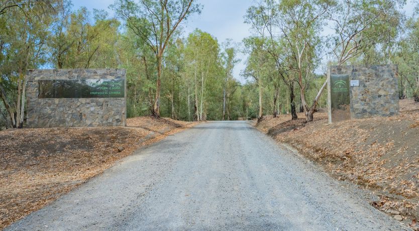 Photo of Olive Echoes