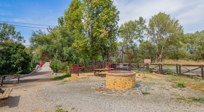 Photo of Olive Echoes