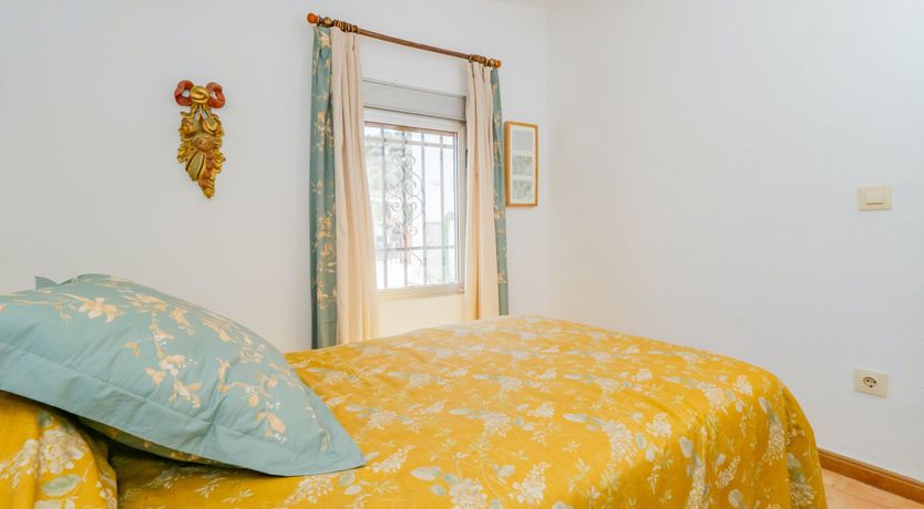 Photo of Olive Echoes