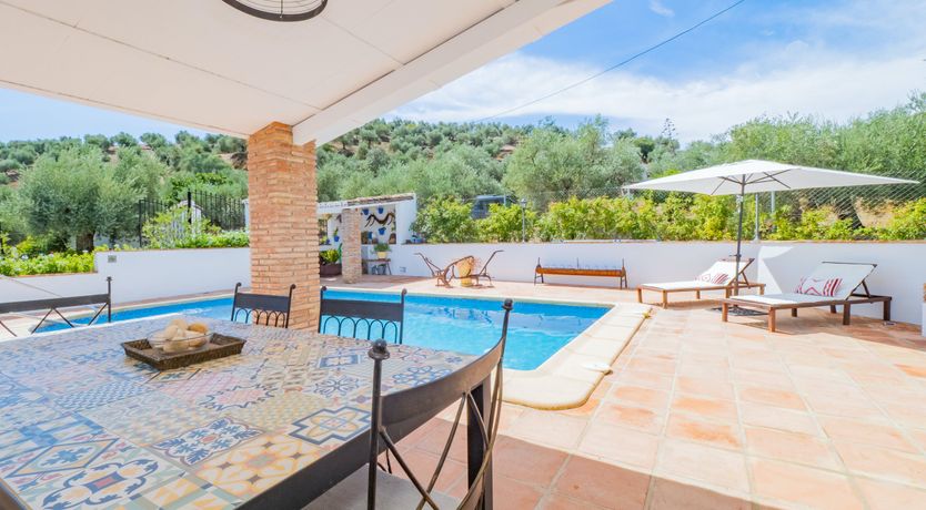 Photo of Olive Echoes