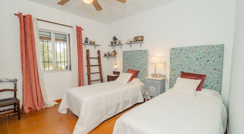 Photo of Olive Echoes