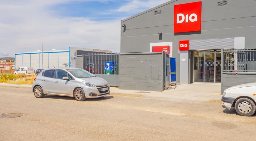 Photo of Olive Echoes