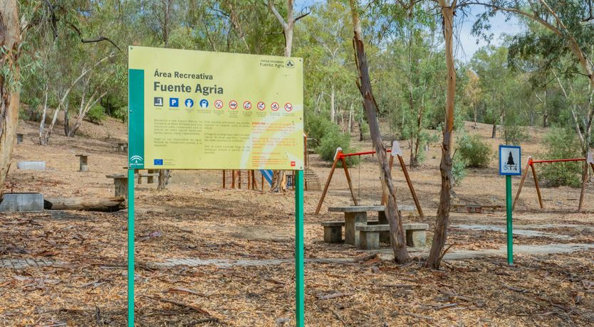 Photo of Olive Echoes