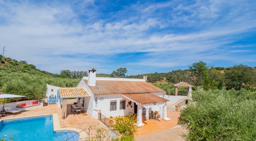 Photo of Olive Echoes